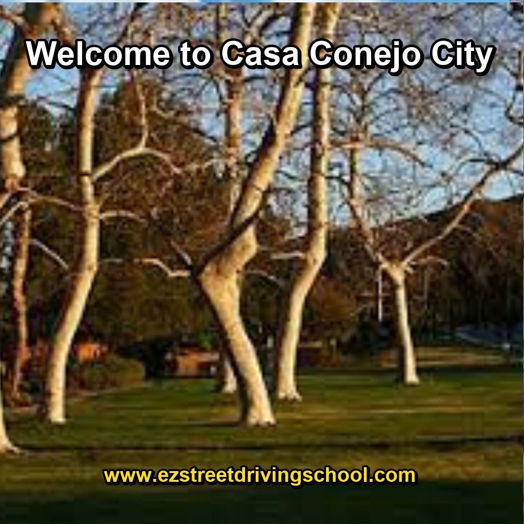 Driving Lessons in Casa Conejo